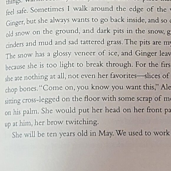 Every Last One A Novel by New York Times Best Seller Anna Quindlen Hardback Book - Picture 14 of 16